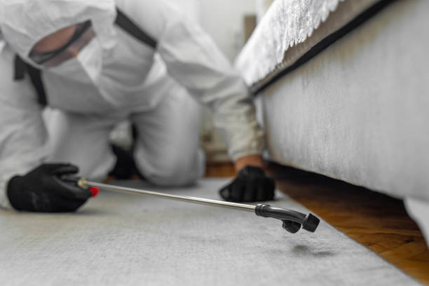 Professional Ant Control technician working in Headland, AL