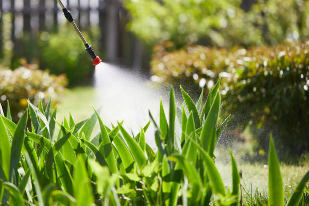 24/7 Emergency Mosquito Control experts in Headland, AL